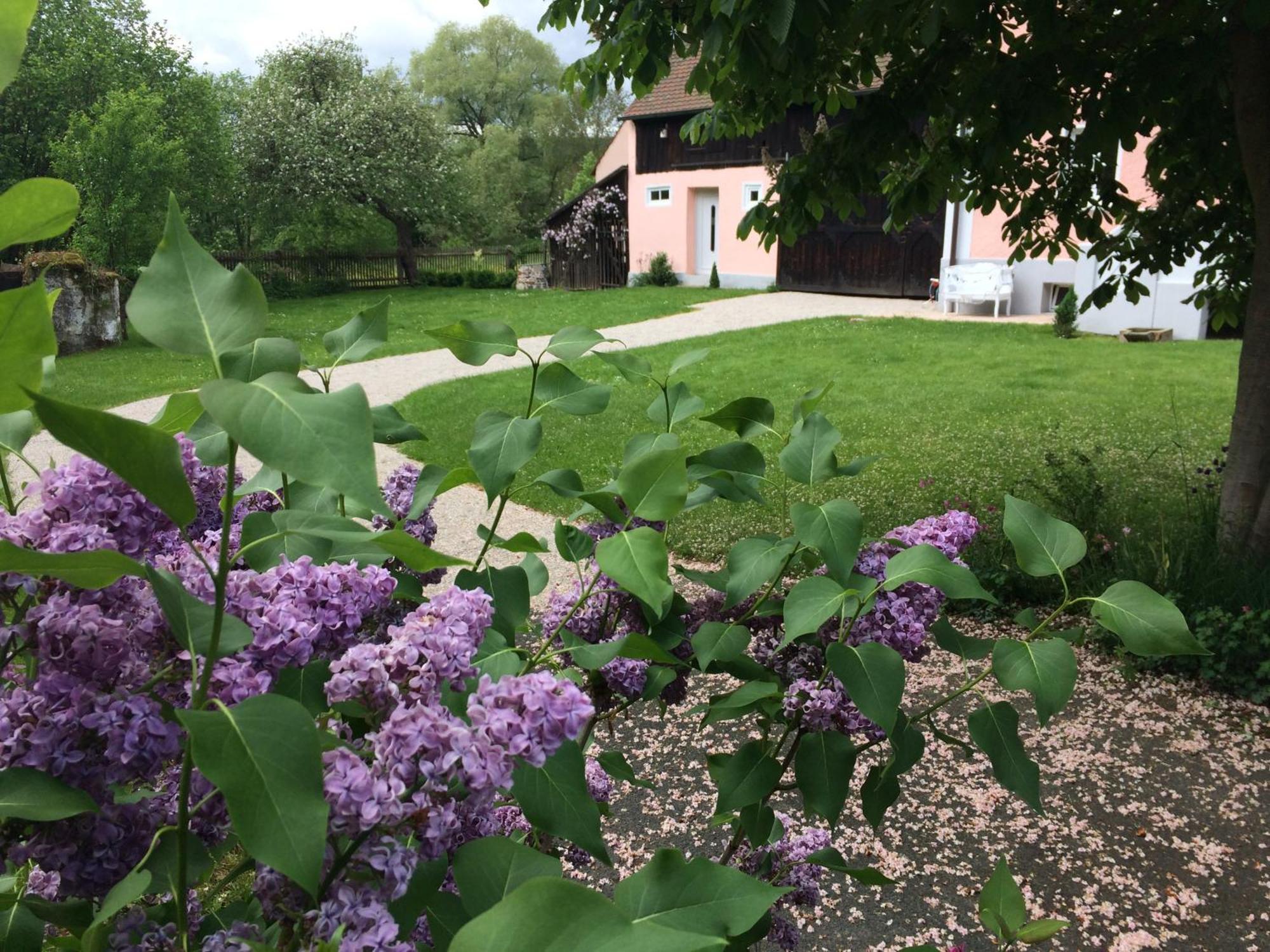 Landhaus Am Schloss Schnabelwaid Bagian luar foto